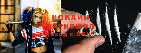 индика Белокуриха