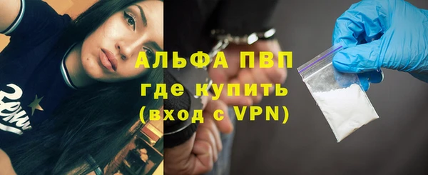 индика Белокуриха