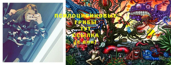 индика Белокуриха