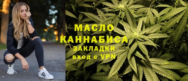 индика Белокуриха