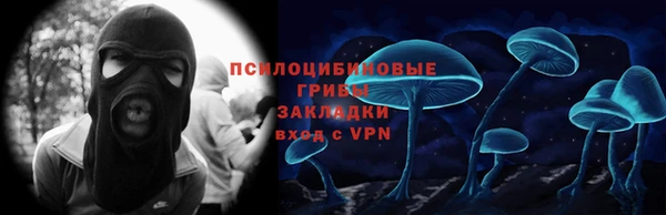 индика Белокуриха