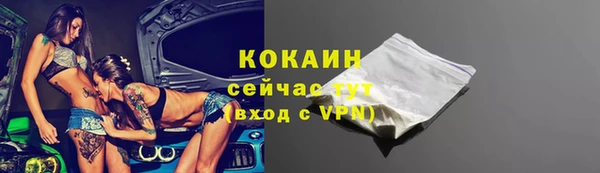 индика Белокуриха