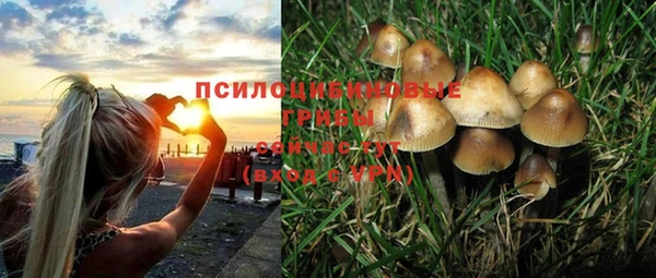 индика Белокуриха