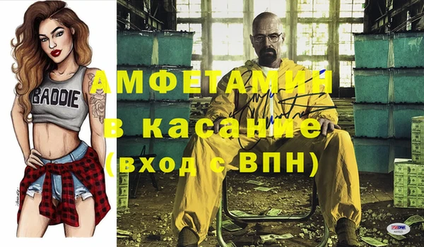 индика Белокуриха