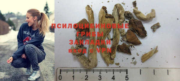 индика Белокуриха