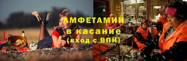 индика Белокуриха